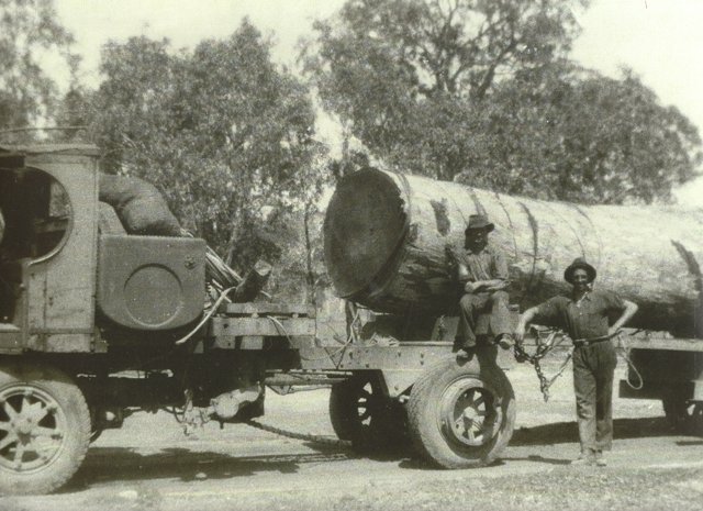 Darren Hickman's grandfather logging in the mid 1930's